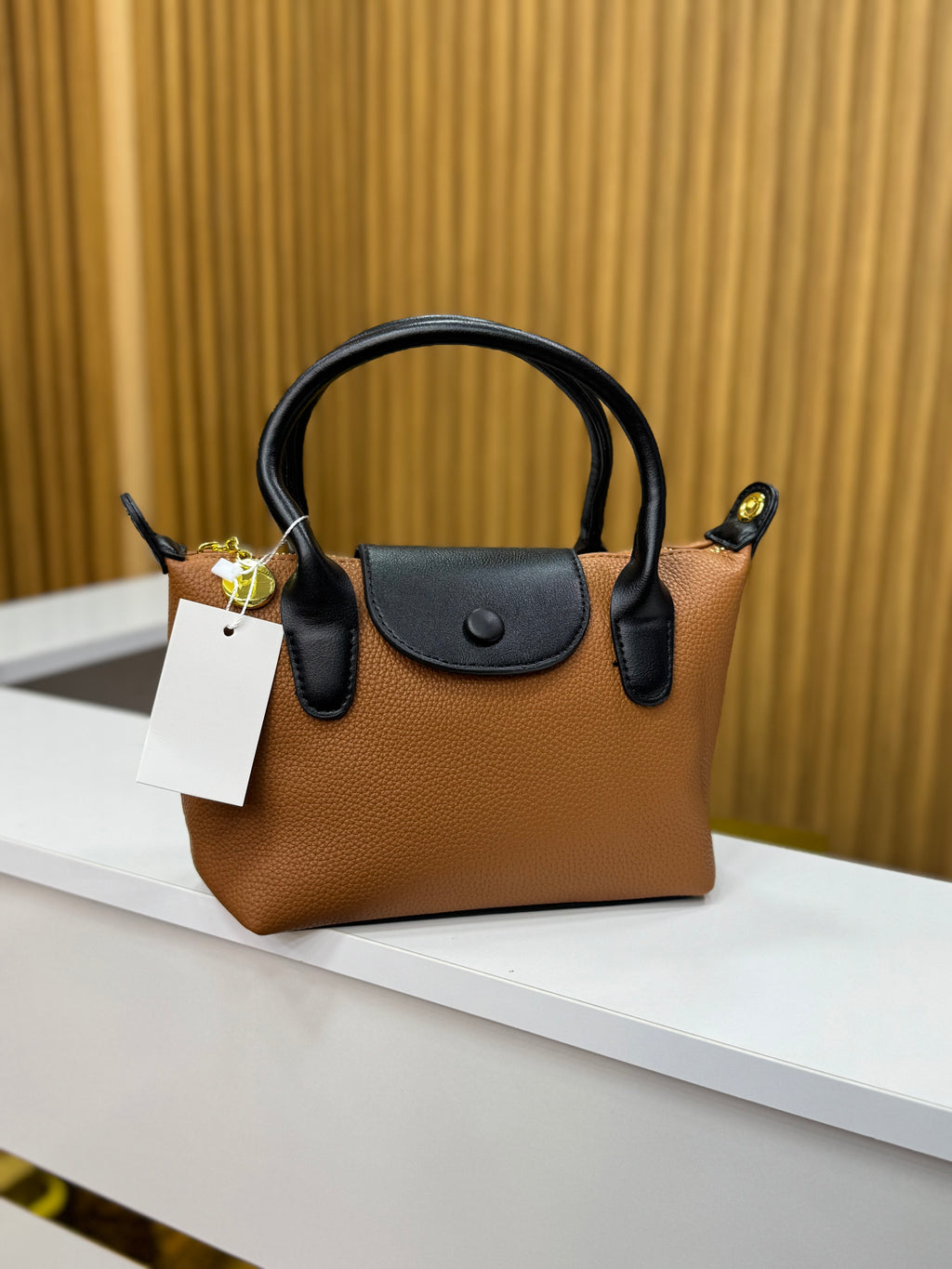 Sac lonchamp