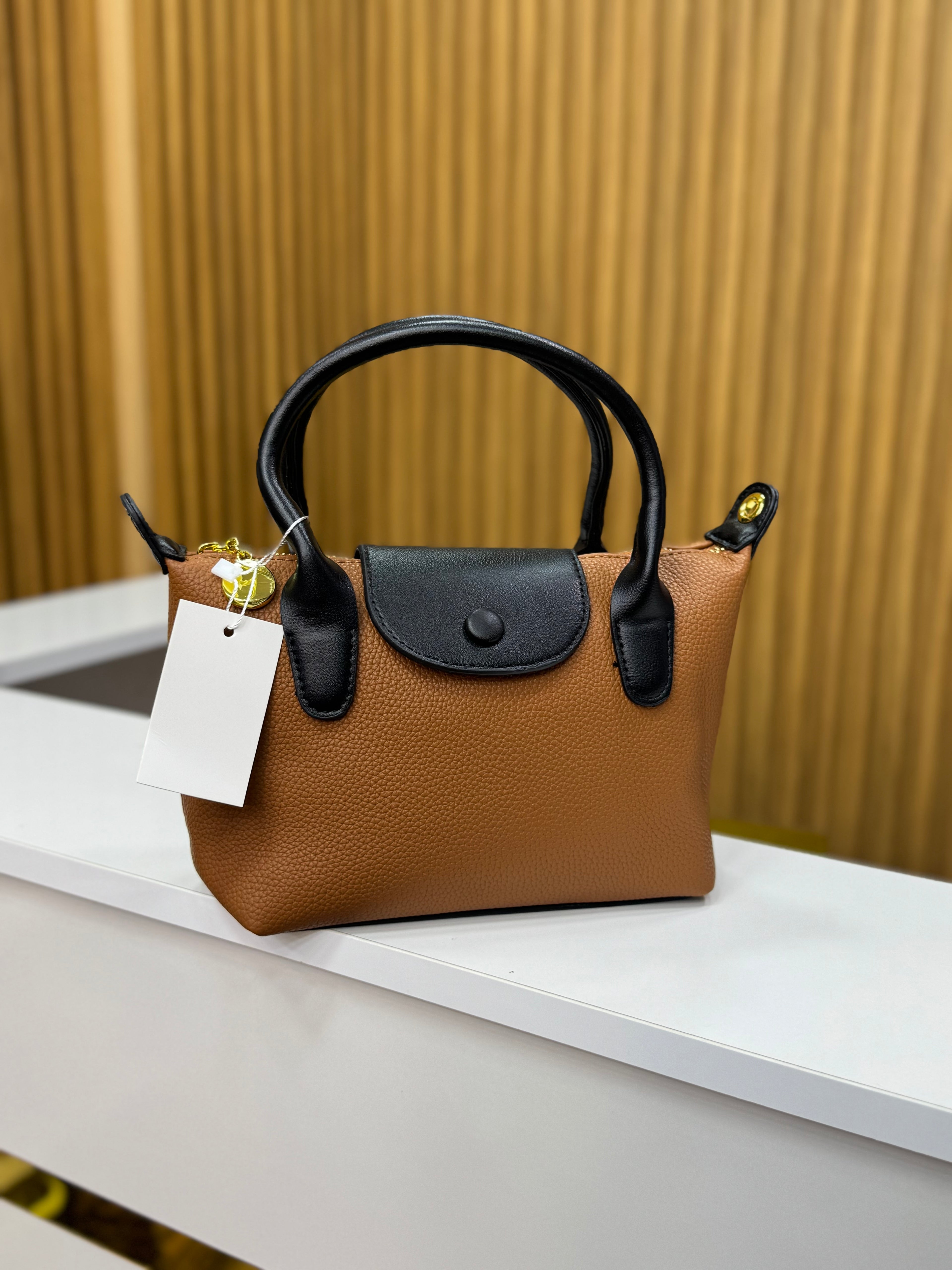 Sac lonchamp