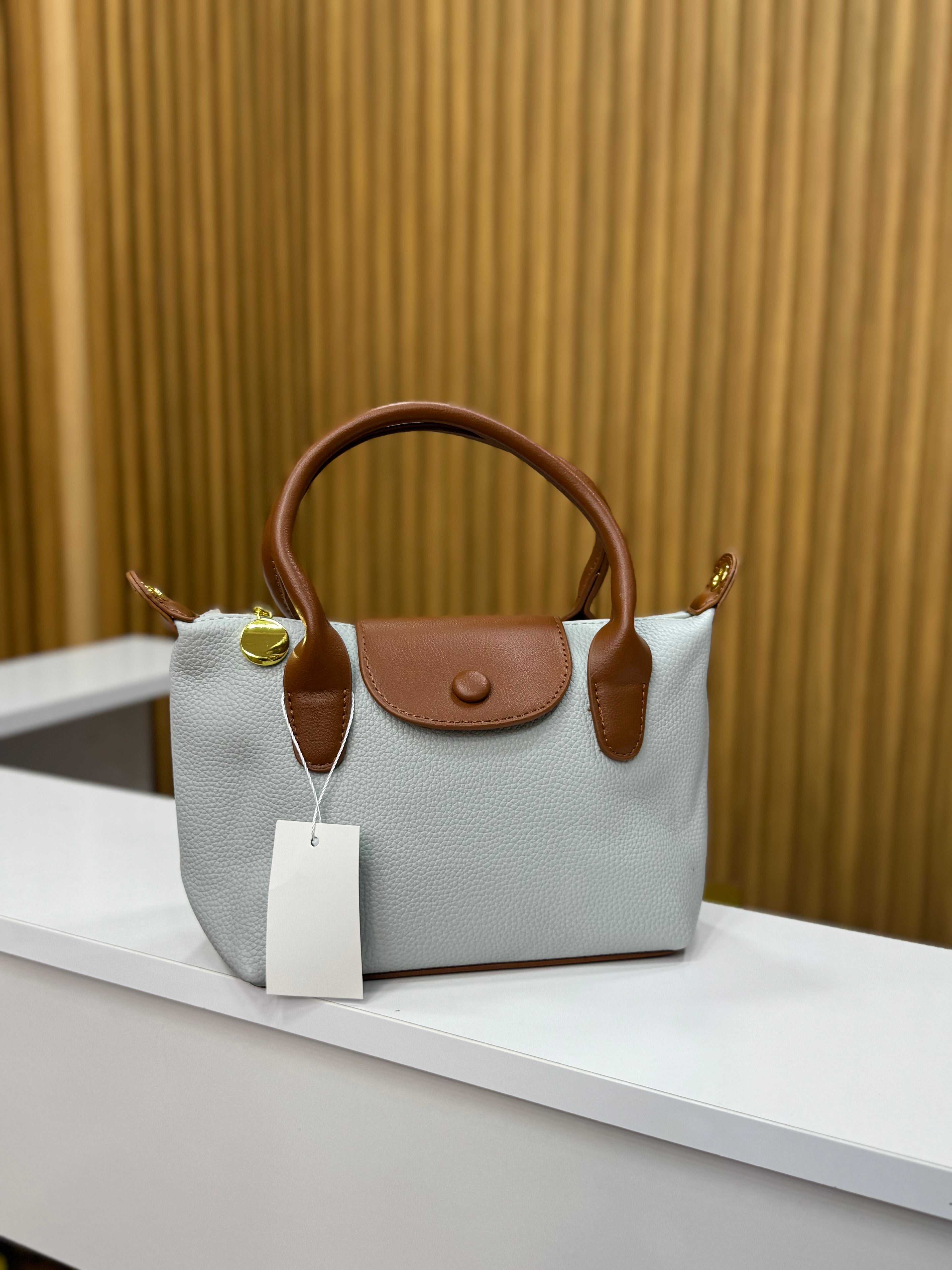 Sac lonchamp