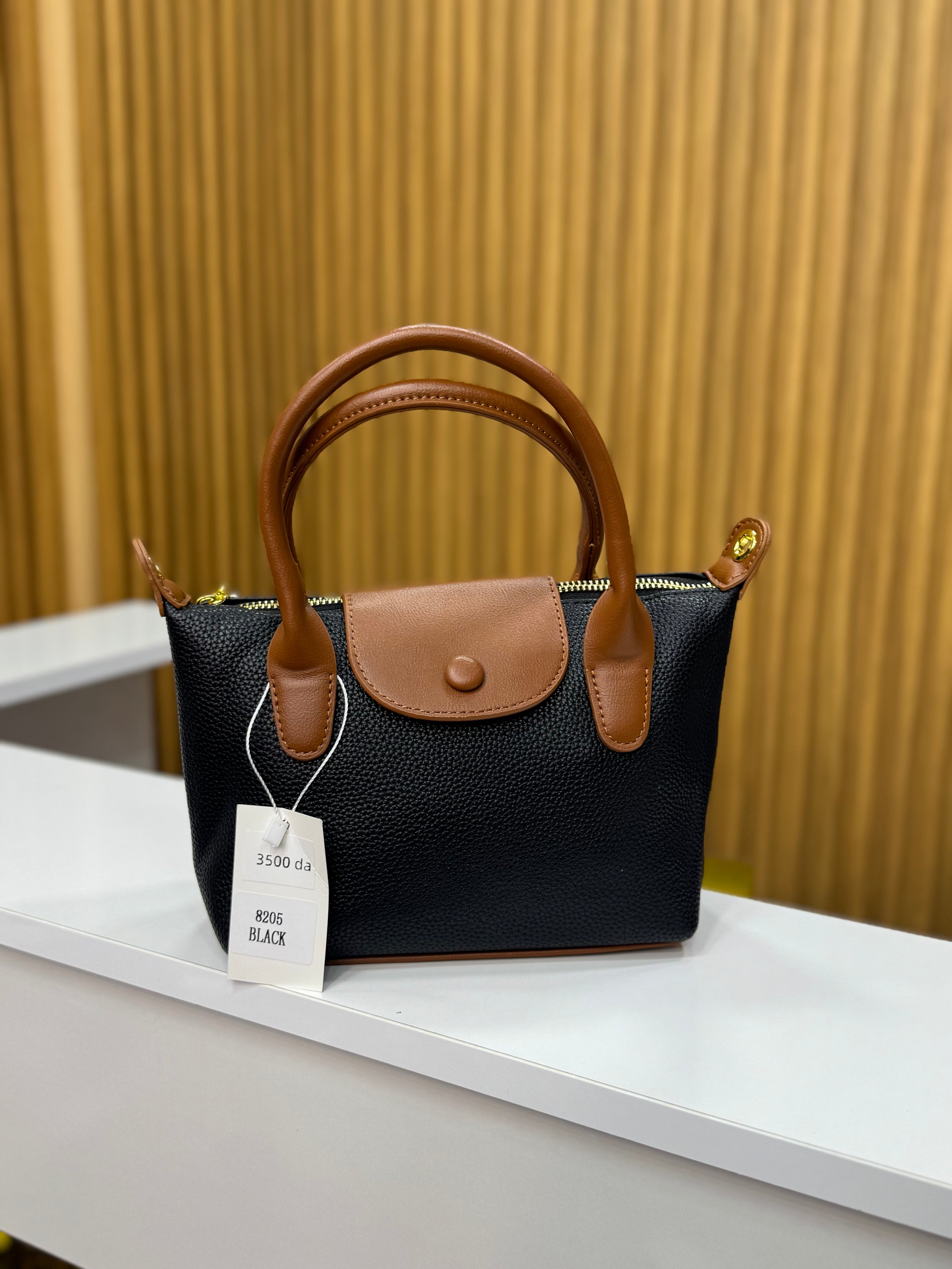 Sac lonchamp