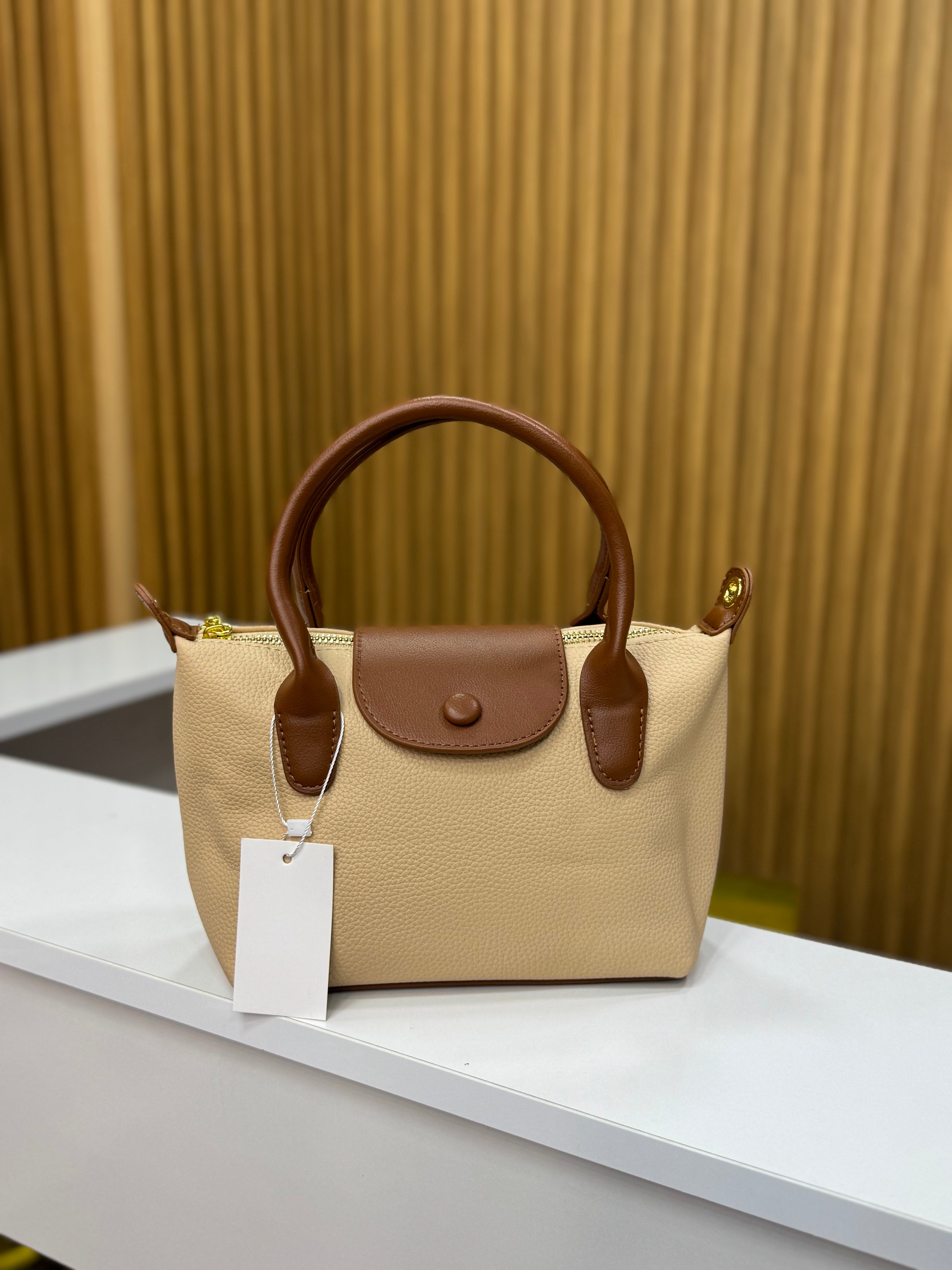 Sac lonchamp