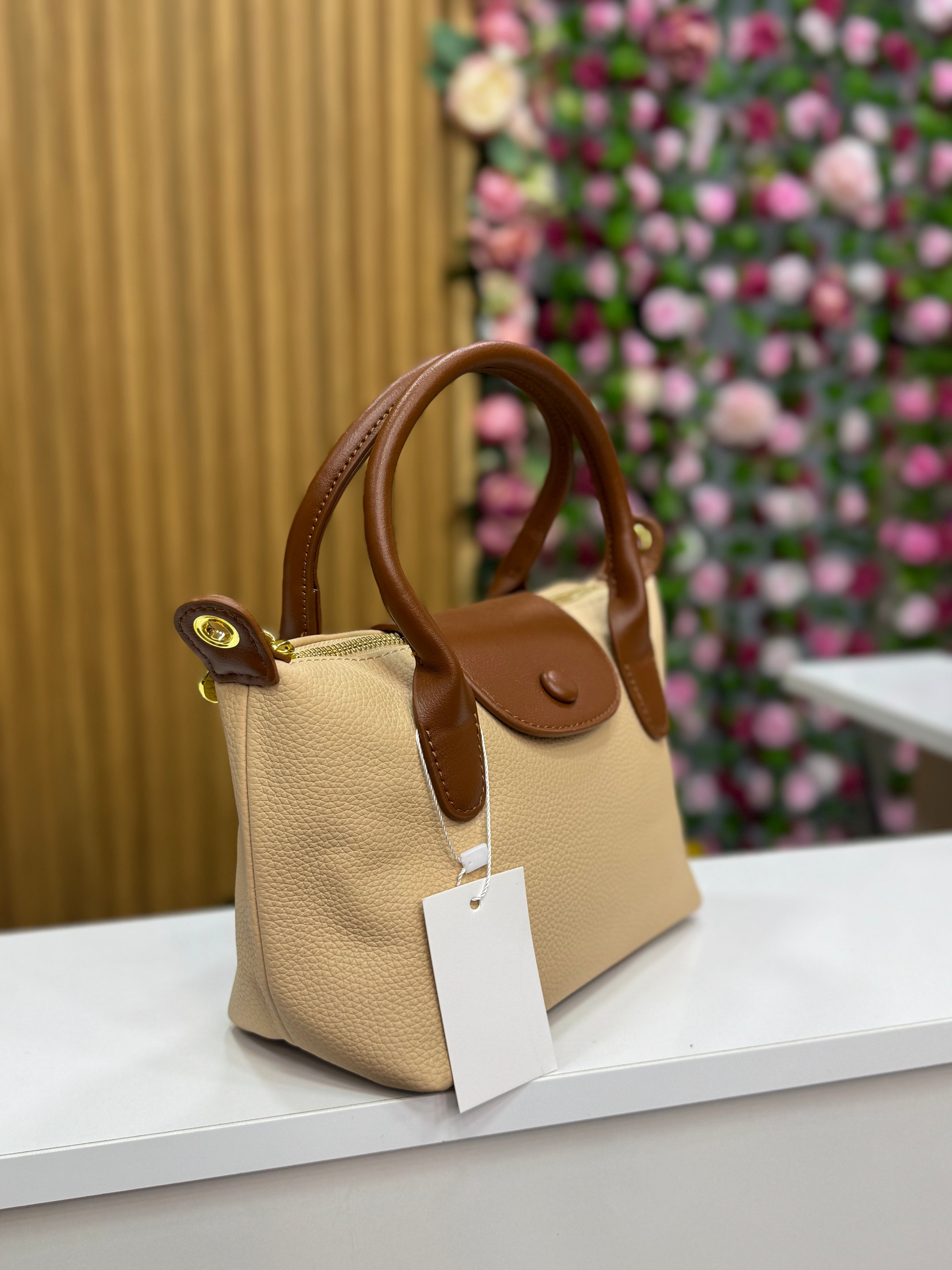 Sac lonchamp